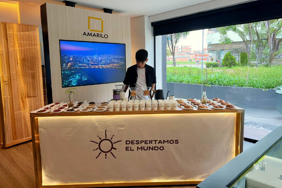 Amarilo-1