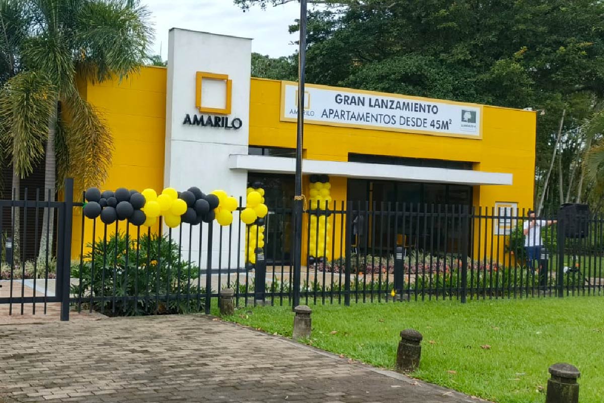 Amarilo-4